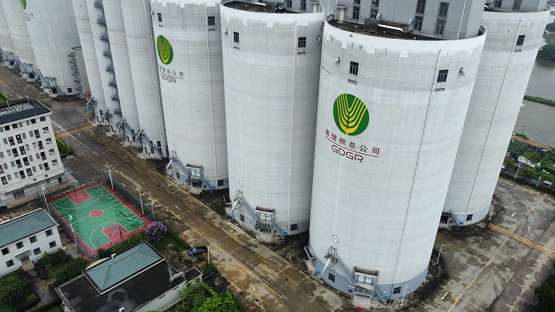 順德儲備糧庫外墻噴砂涂料項目